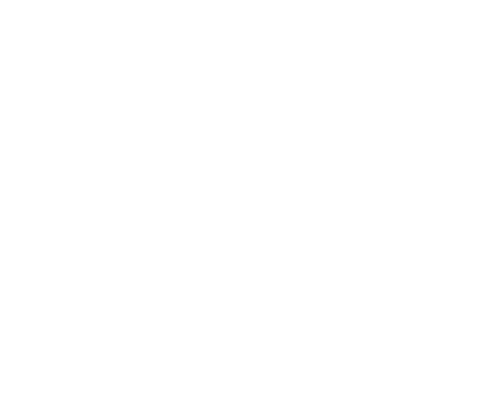 custom-wordpress-website-design-and-development