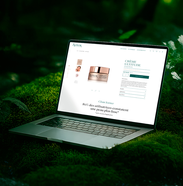 ecommerce-1 branding-audit-marketing-agency